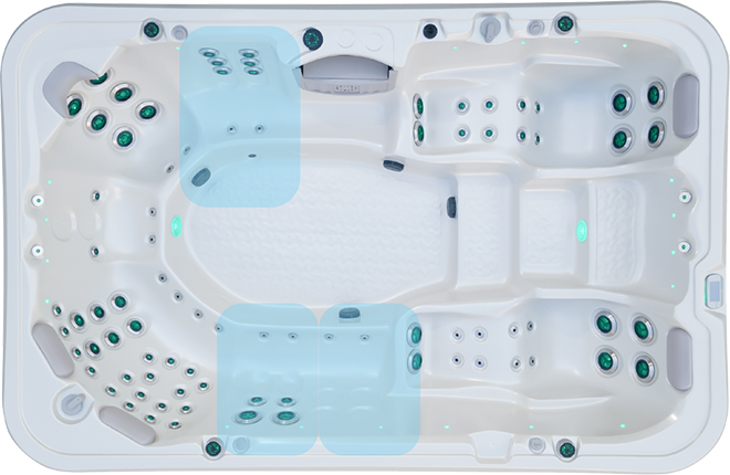 Vortex Palladium Back