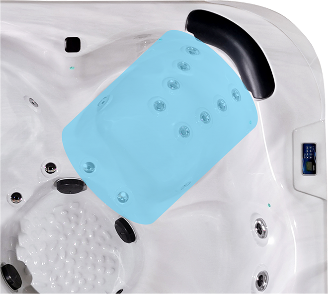 Fisher 5S Shiatsu Seat