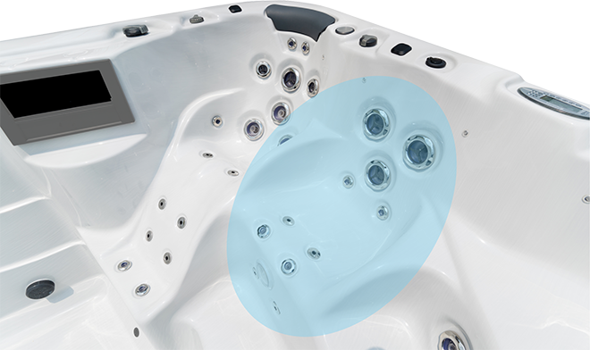 Fisher Lap Back Massage