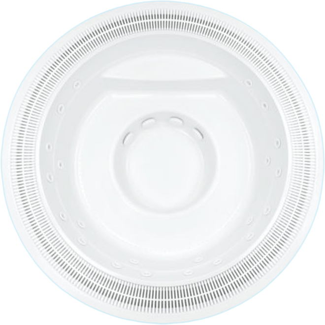 Sunflower With Gutter Overhead