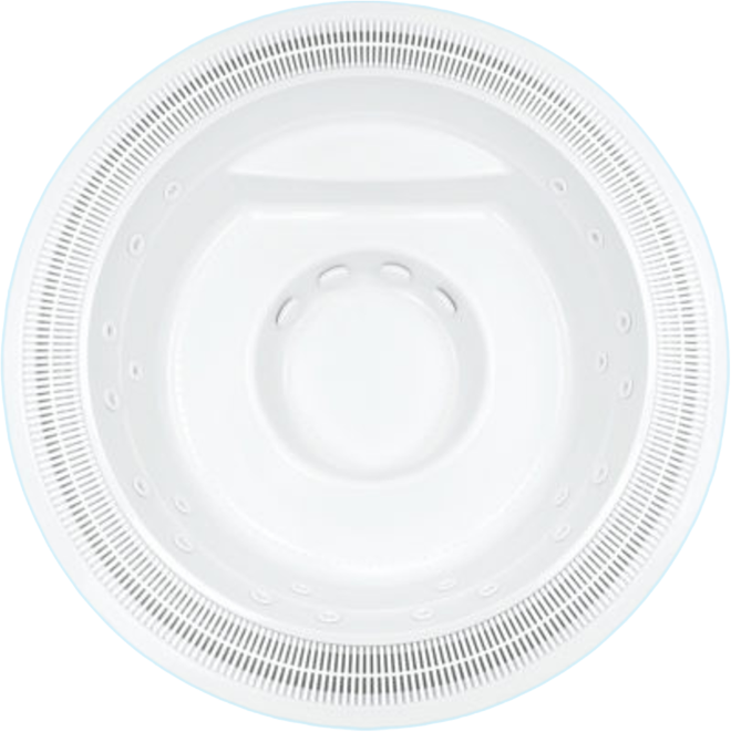 Sunflower With Gutter shell