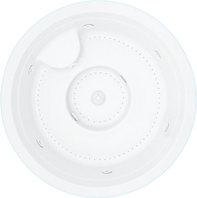 Victoria With Skimmer shell